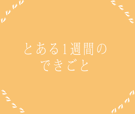 とある1週間のできごと